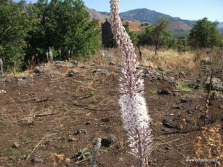 rre Acquafredda-28-08-2022 10-13-45